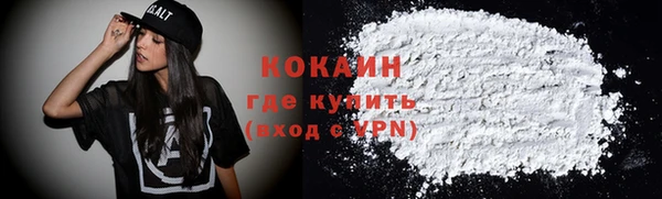 мдпв Богородицк