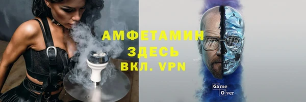мдпв Богородицк