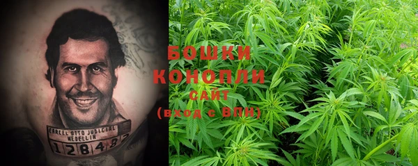 прущие крисы Белокуриха