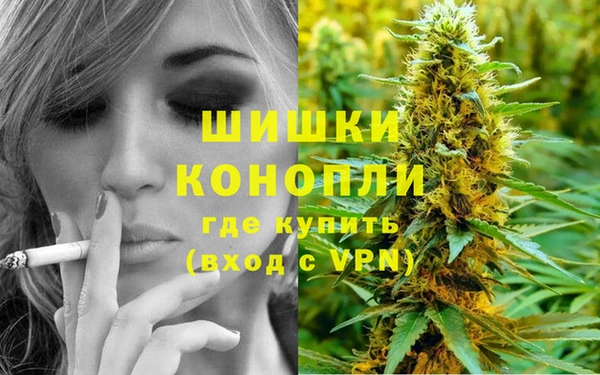 мет Богданович