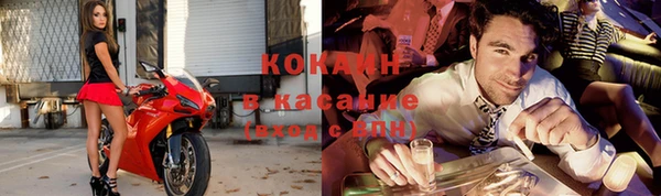 прущие крисы Белокуриха